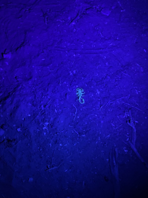 Telescope Guys photo